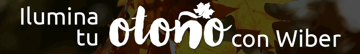 Banner de Baética (Desarrollo Web – Diseño Gráfico)