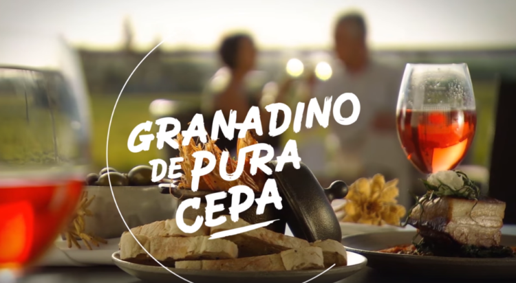 Granadino de pura cepa, Diputación de Granada